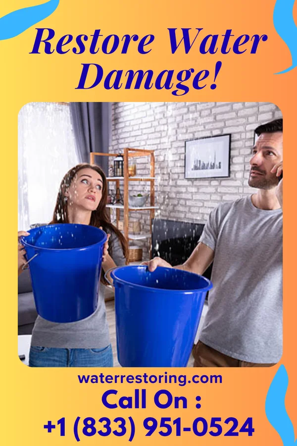 water restoration Ace Water Damage & Sons Sportsmen Acres