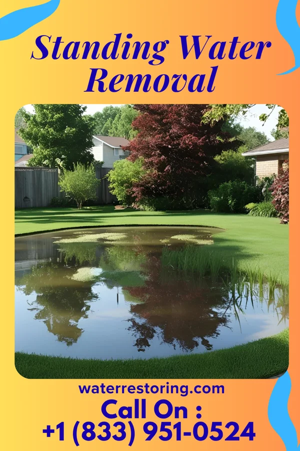 Standing Water Removal in Sportsmen Acres, OK